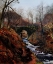Picture of GHYLL BECK, BARDEN, YORKSHIRE 1867