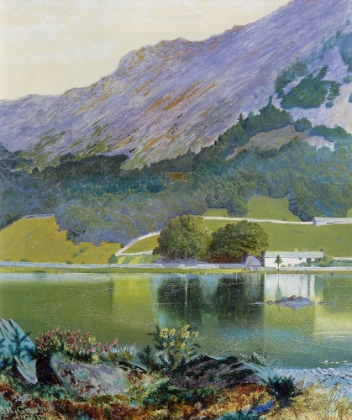 Picture of NAB SCAR DETAIL 1864