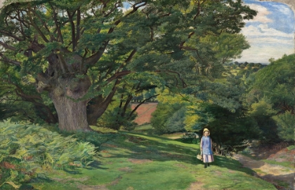 Picture of HAYES COMMON 1852