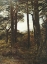 Picture of SCOTCH FIRS 1873