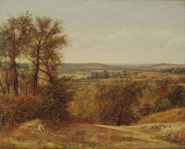 Picture of DEDHAM VALE 1802