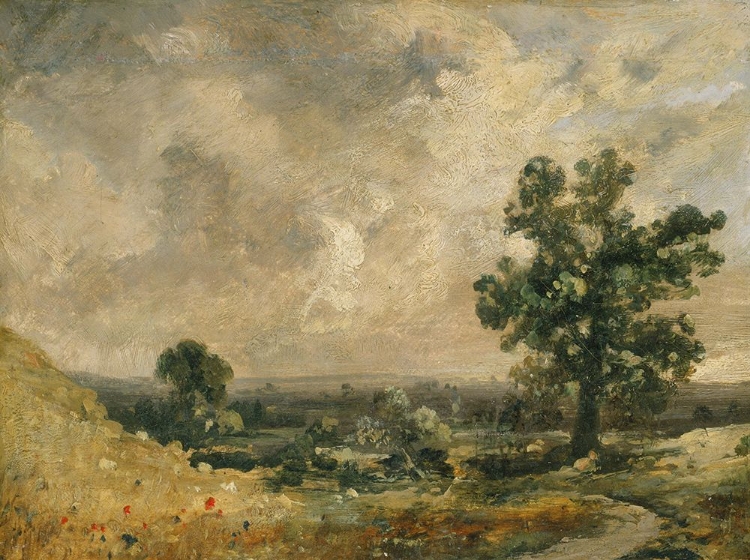 Picture of ENGLISH LANDSCAPE