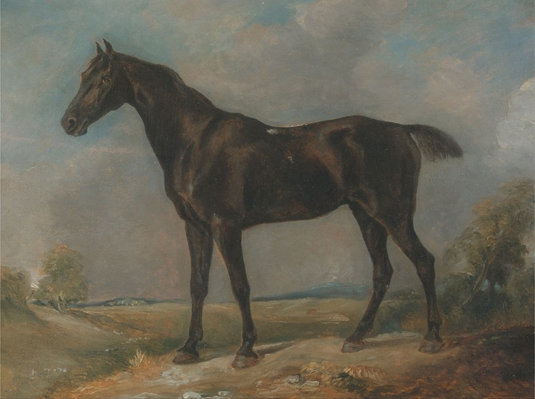 Picture of GOLDING CONSTABLES BLACK RIDING-HORSE