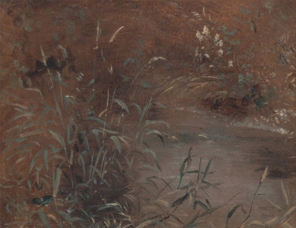 Picture of RUSHES BY A POOL CA 1821