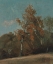 Picture of STUDY OF AN ASH TREE 1801