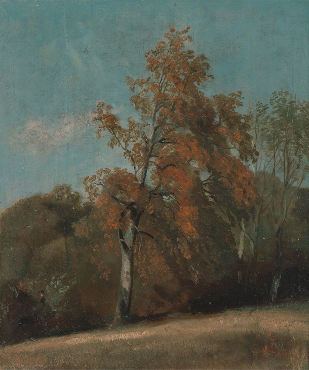 Picture of STUDY OF AN ASH TREE 1801