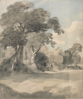 Picture of TREES IN A MEADOW CA 1805
