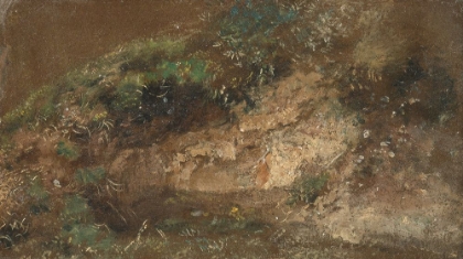 Picture of UNDERGROWTH CA 1821