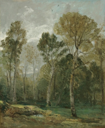 Picture of VIEW OF A COPSE