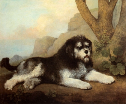 Picture of A ROUGH DOG 1790