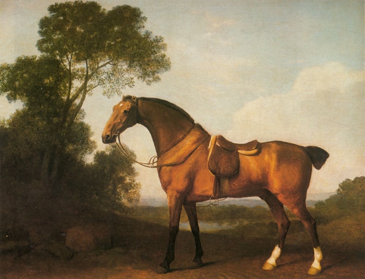 Picture of A SADDLED BAY HUNTER 1768