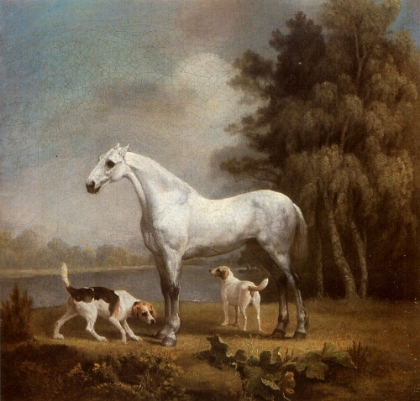 Picture of DAPPLE GREY HUNTER AND FOXHOUNDS CA 1765
