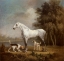 Picture of DAPPLE GREY HUNTER AND FOXHOUNDS CA 1765