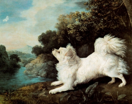 Picture of DOG AND BUTTERFLY 1775
