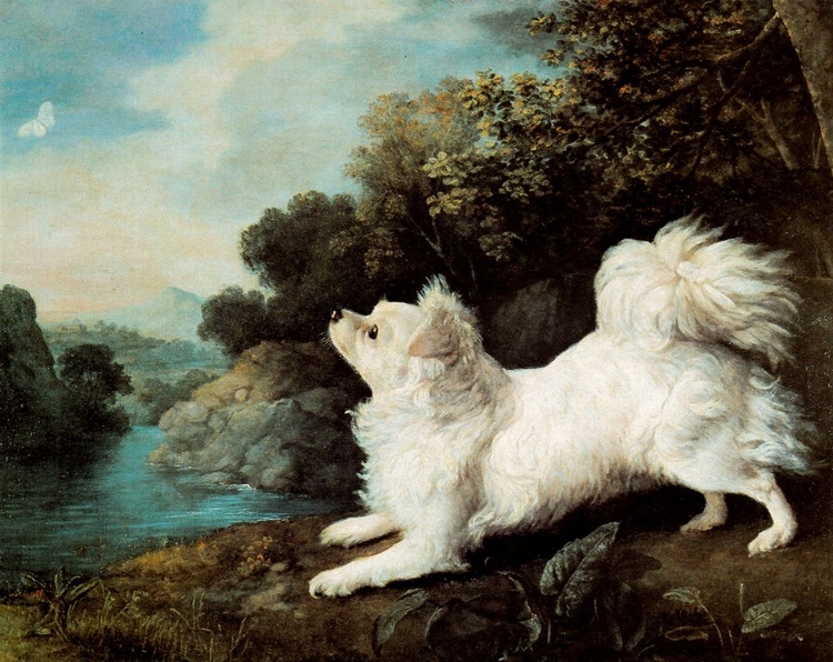 Picture of DOG AND BUTTERFLY 1775