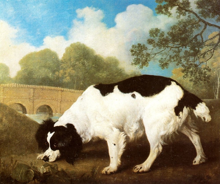 Picture of FADDLE, A SPANIEL 1792