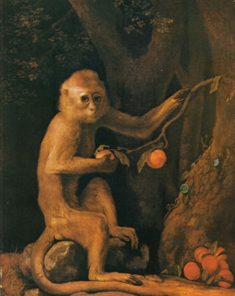 Picture of GREEN MONKEY 1798