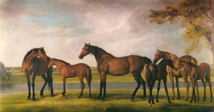 Picture of HORSES DISTURBED BY STORM 1764
