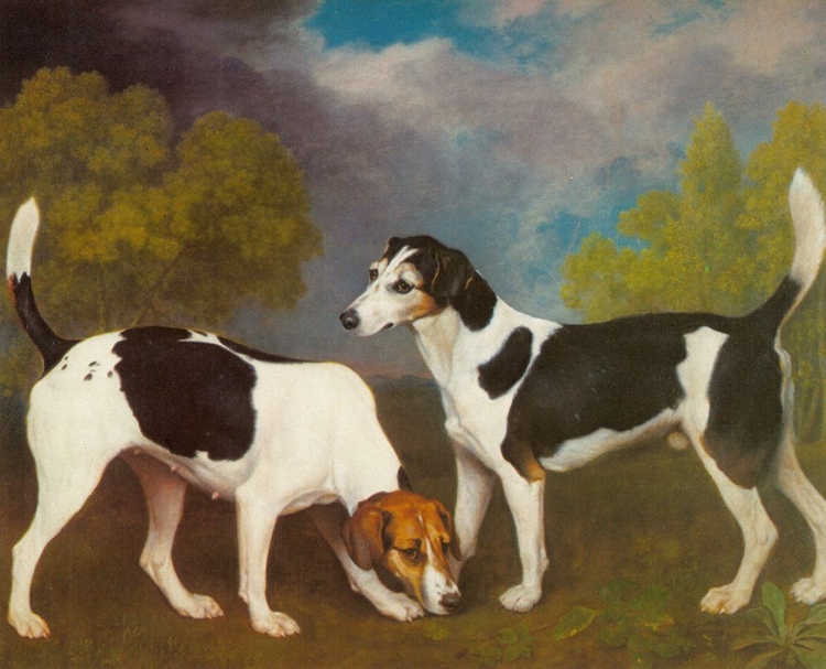 Picture of HOUND AND BITCH IN LANDSCAPE 1792