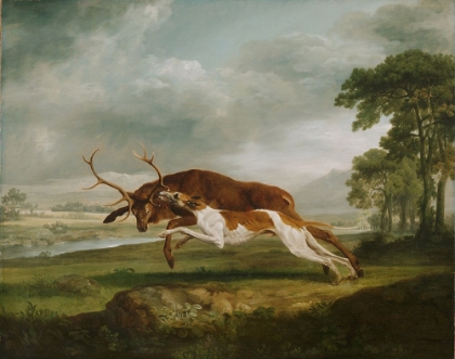 Picture of HOUND COURSING A STAG CA 1762