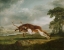 Picture of HOUND COURSING A STAG CA 1762