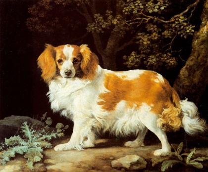 Picture of KING CHARLES SPANIEL 1776