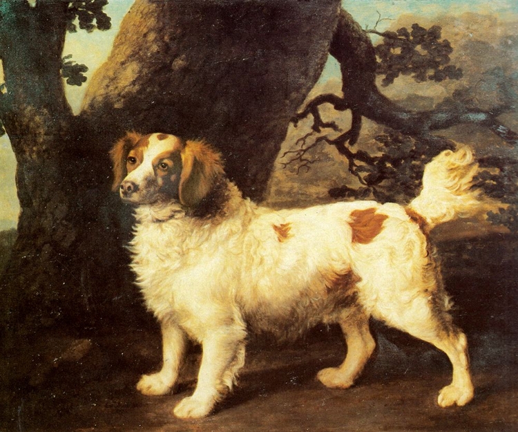Picture of LEMON AND WHITE SPANIEL 1784