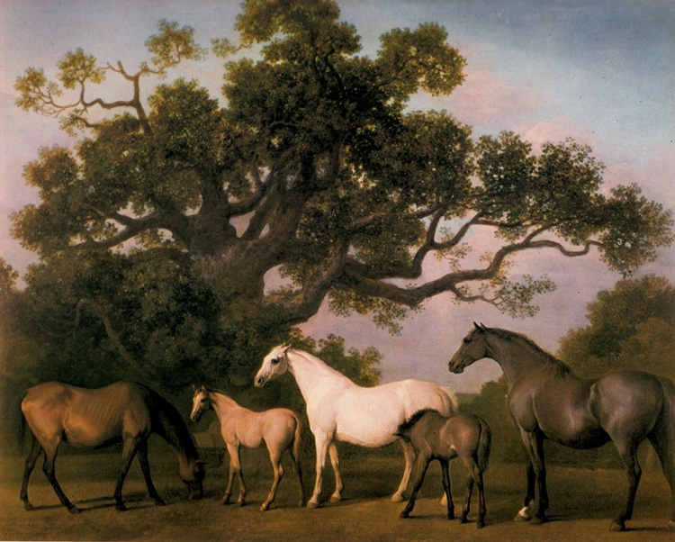 Picture of MARES AND FOALS WITH OAK TREE 1773