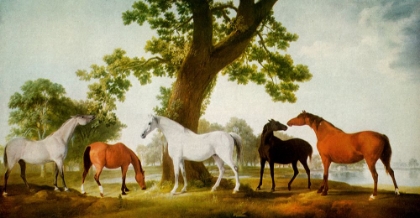Picture of MARES BY AN OAK TREE 1764