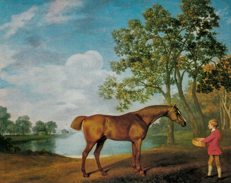 Picture of PUMPKIN WITH A STABLE LAD 1774