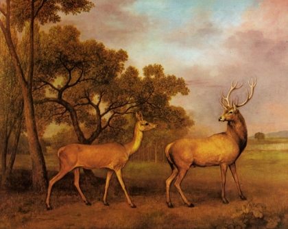 Picture of RED DEER STAG AND HIND 1792