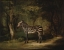 Picture of ZEBRA 1762