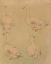 Picture of STUDY OF FOUR GEESE