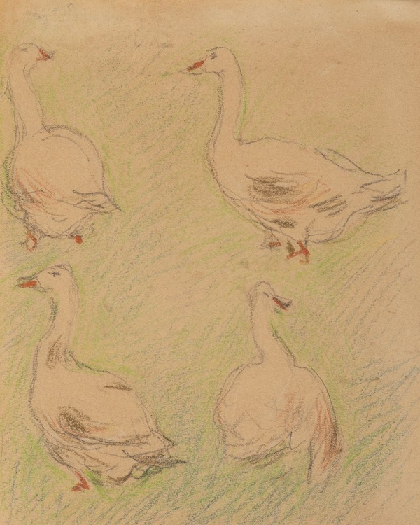 Picture of STUDY OF FOUR GEESE