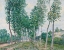 Picture of THE POPLAR AVENUE ALONG THE LOING 1892