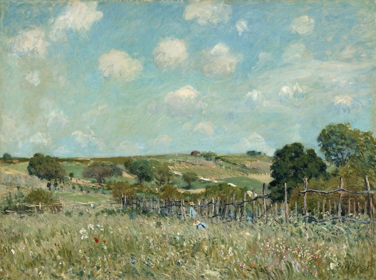 Picture of MEADOW (1875)