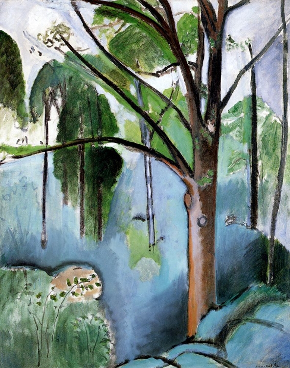 Picture of TREE NEAR TRIVAUX POND 1916