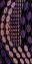 Picture of STYLISED DAISIES, PURPLE ON BLACK