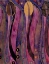 Picture of STYLISED TULIP TEXTILE DESIGN CA 1916