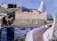 Picture of THE LIGHTHOUSE, CAP BEAR