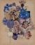 Picture of DIANTHUS, MONT LOUIS 1925