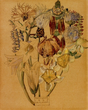 Picture of FLOWER STUDY, MONT LOUIS