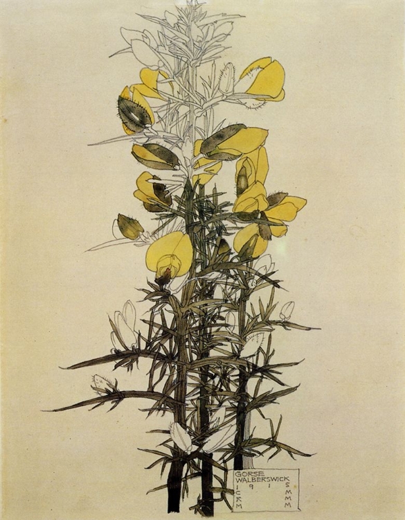 Picture of GORSE, WALBERSWICK 1915