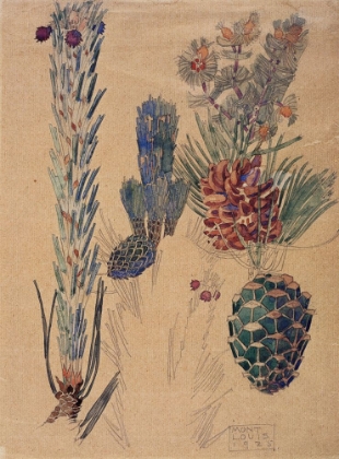 Picture of PINE CONES, MONT LOUIS 1925