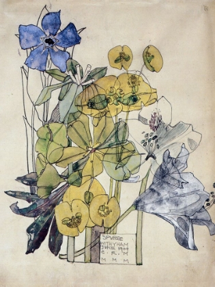 Picture of SPURGE, WITHYHAM 1909