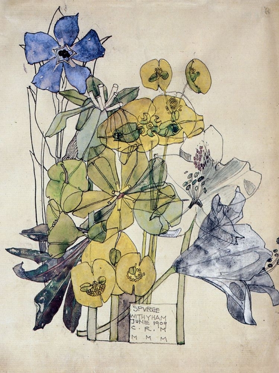 Picture of SPURGE, WITHYHAM 1909