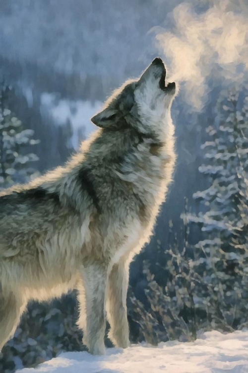 Picture of HOWLING WOLF II