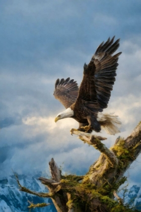 Picture of MOUNTAIN EAGLE I