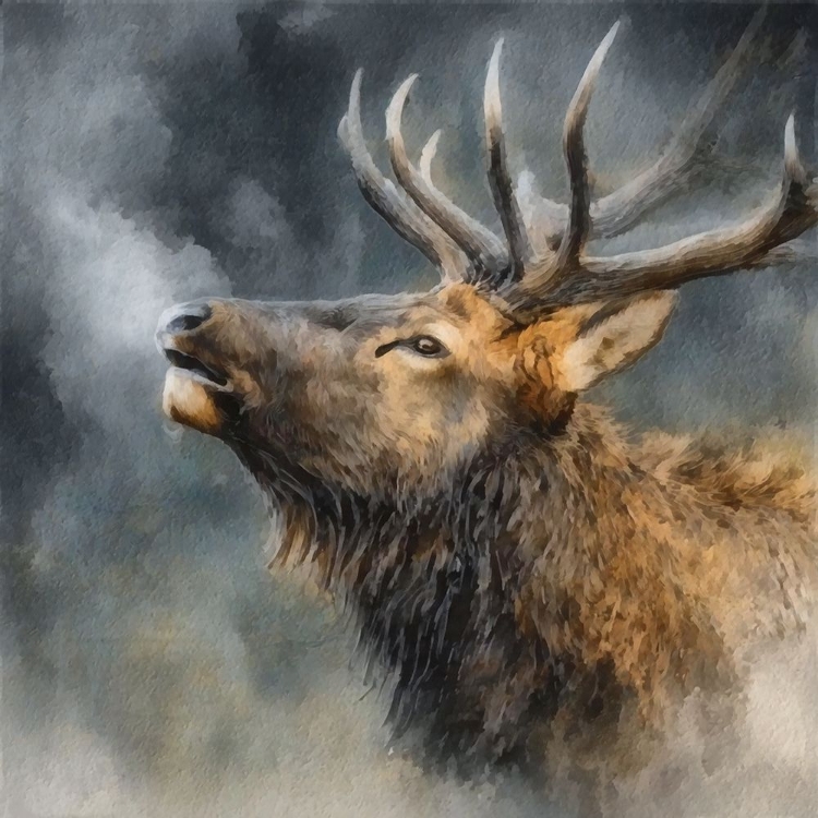 Picture of CALLING BULL ELK II