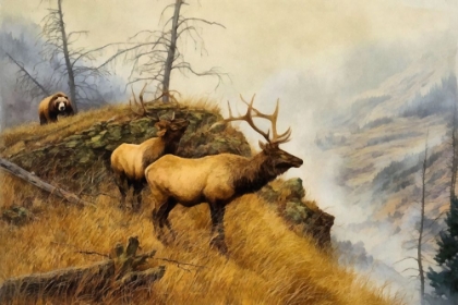Picture of BEAR AND ELK I